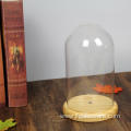 D12*H20cm Glass Dome With MDF Base